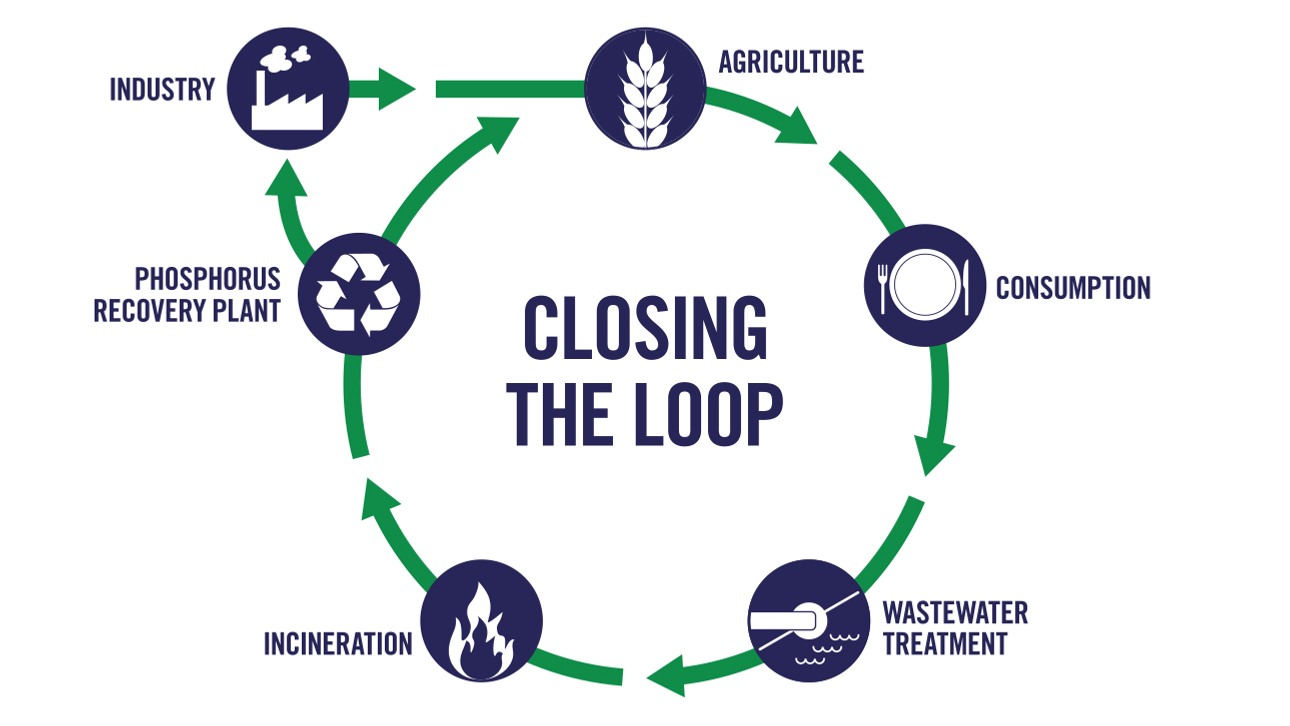 Loop
