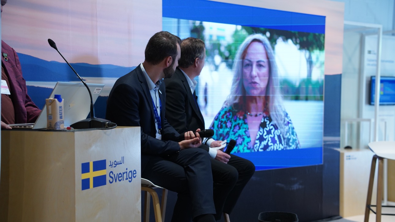 Chrysi Laspidou, Professor and Vice President of Water Europe. 