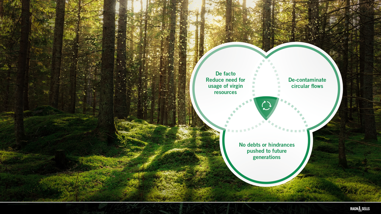 Illustration of Ragn-Sells guiding principles for achieving circular solutions