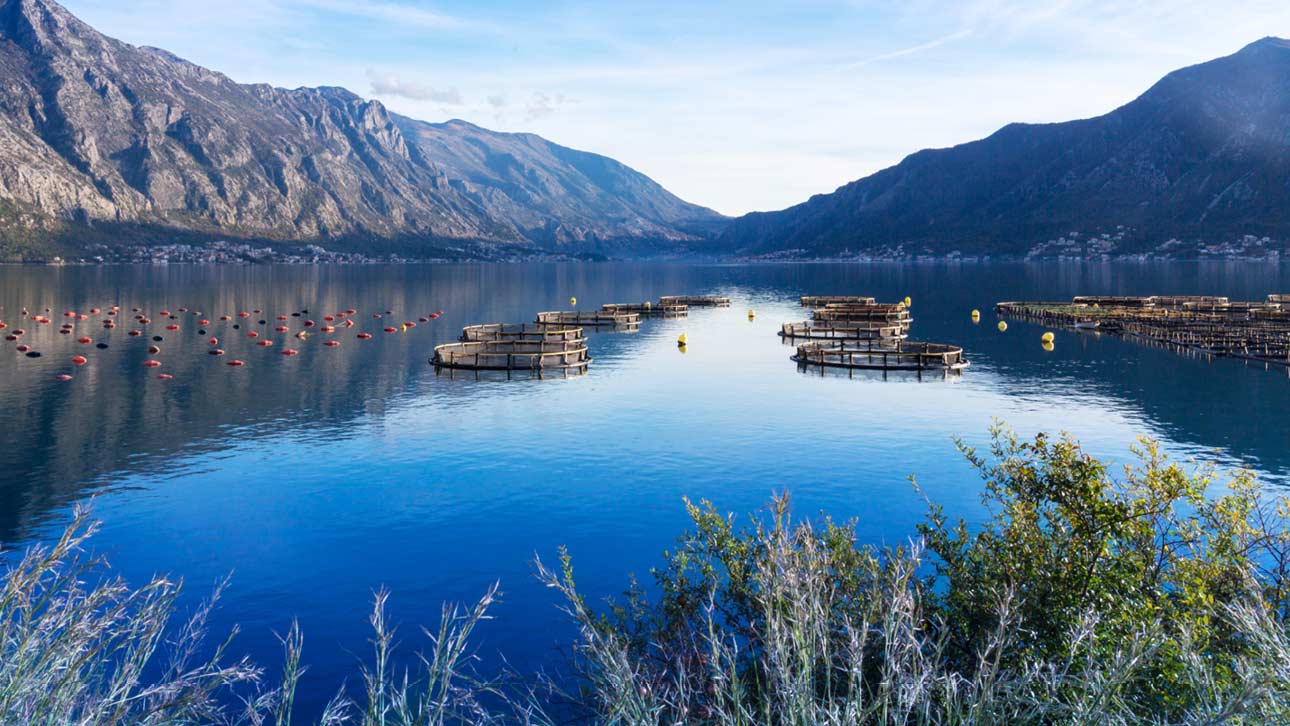 Floating fish pens in Norway